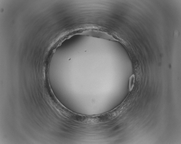 X0000067350350200604281448