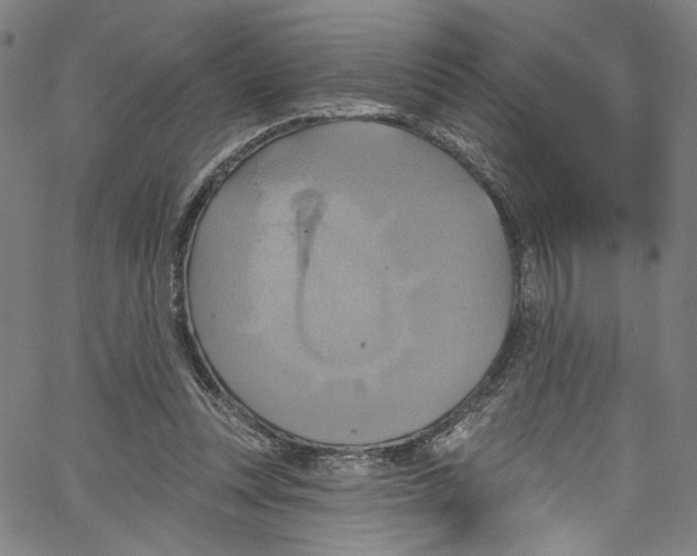 X0000067350351200604281448