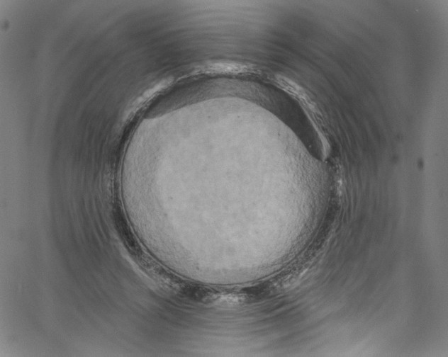 X0000067350352200604281448