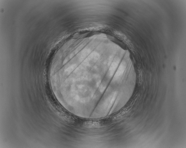 X0000067350354200604281448