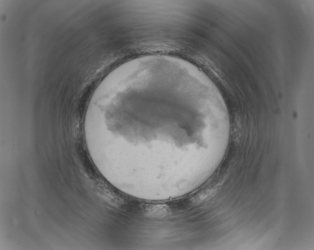 X0000067350355200604281448