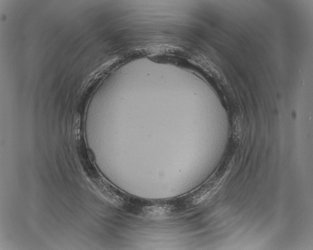 X0000067350356200604281448