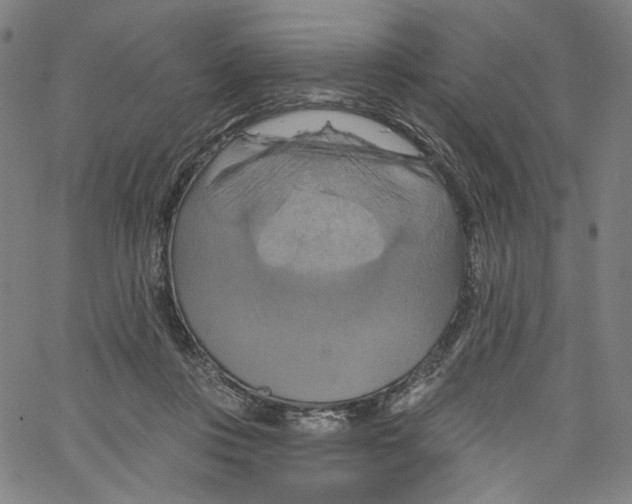 X0000067350359200604281448