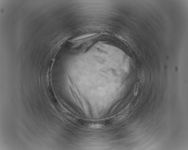 X0000067350360200604281448