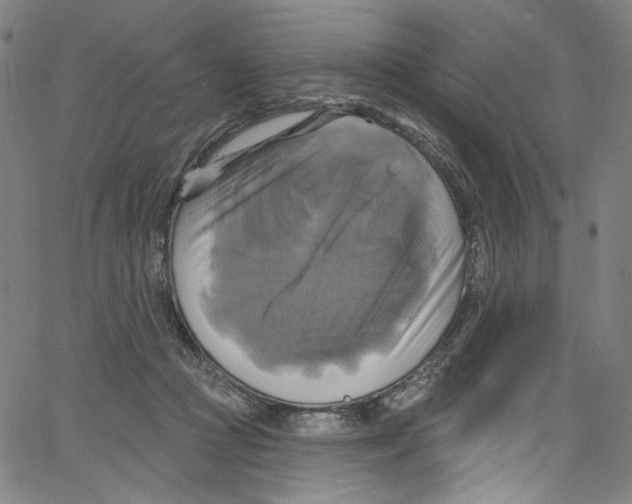 X0000067350361200604281448