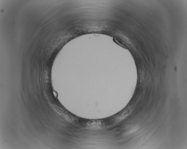 X0000067350362200604281448