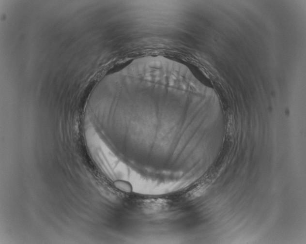 X0000067350363200604281448