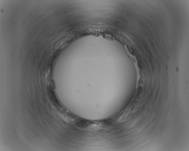 X0000067350364200604281448