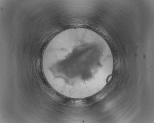 X0000067350365200604281448