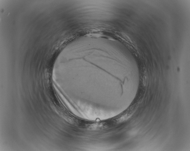 X0000067350366200604281448