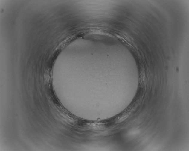 X0000067350367200604281448