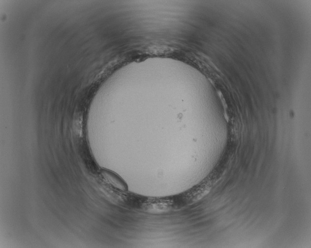 X0000067350368200604281448