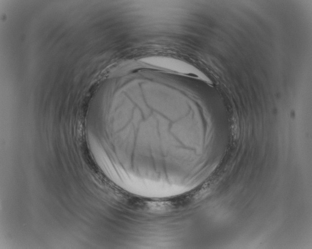 X0000067350371200604281448