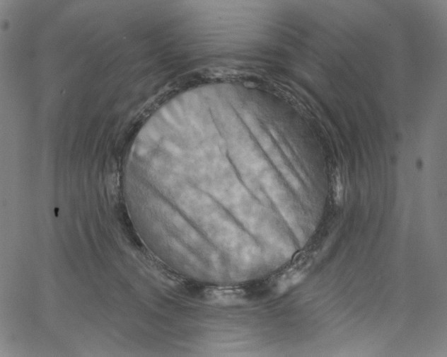 X0000067350372200604281448