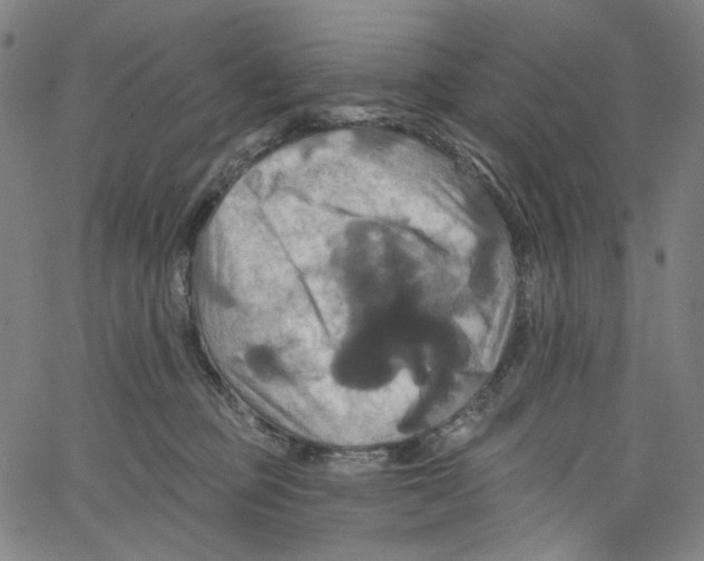 X0000067350373200604281448