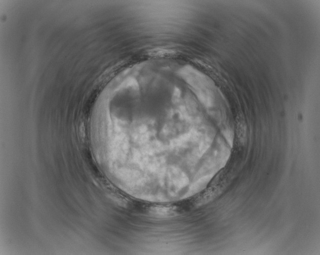 X0000067350375200604281448