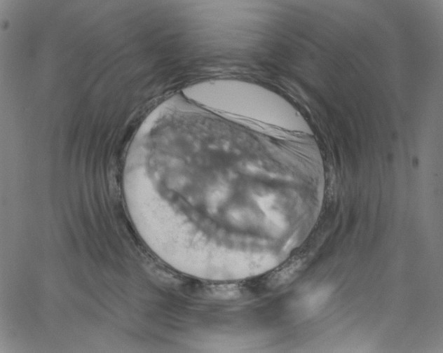 X0000067350377200604281448