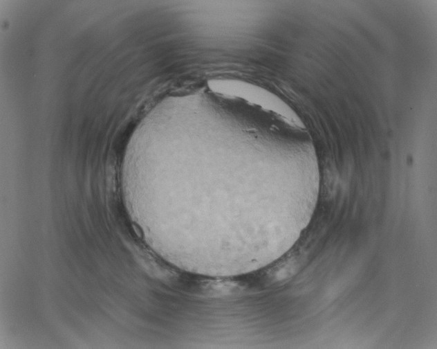 X0000067350379200604281448