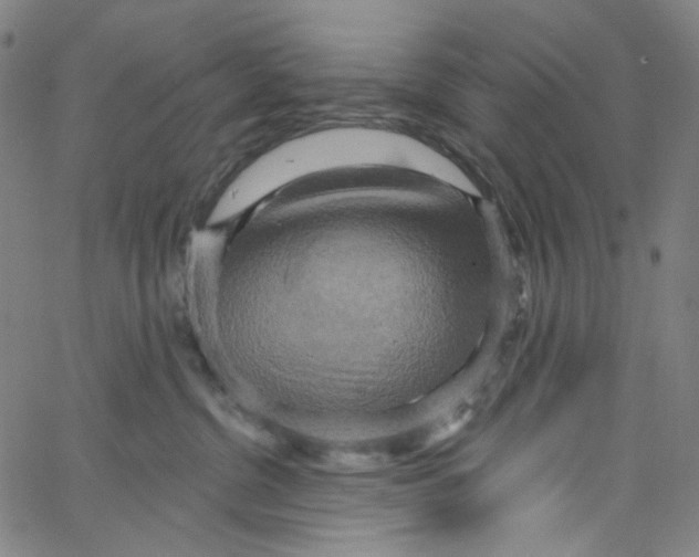 X0000067350380200604281448