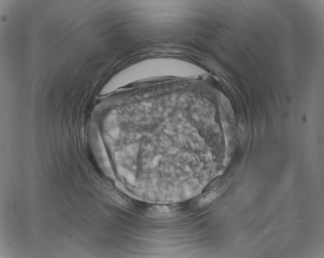 X0000067350381200604281448