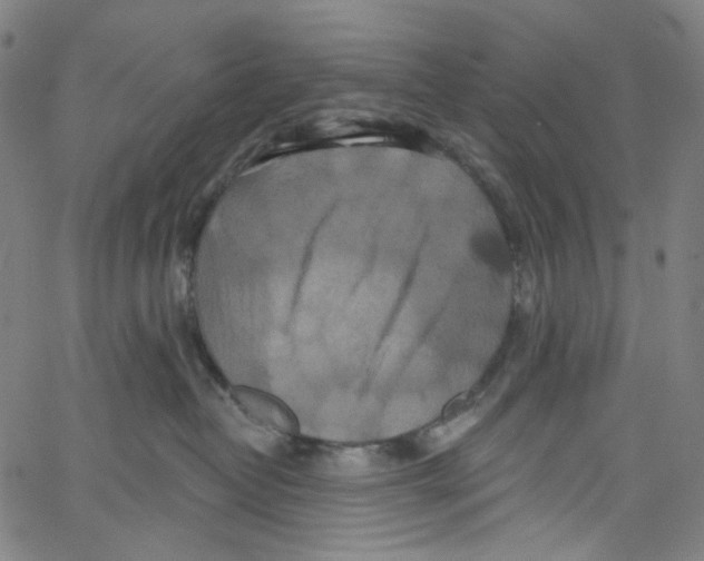 X0000067350382200604281448