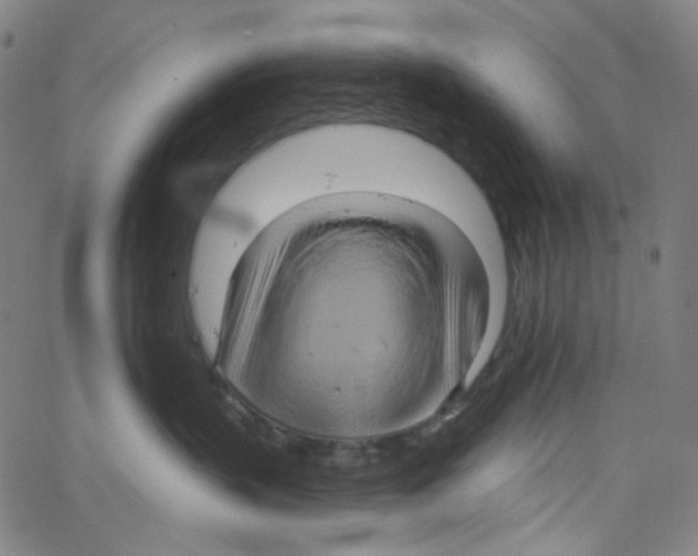 X0000067350383200604281448