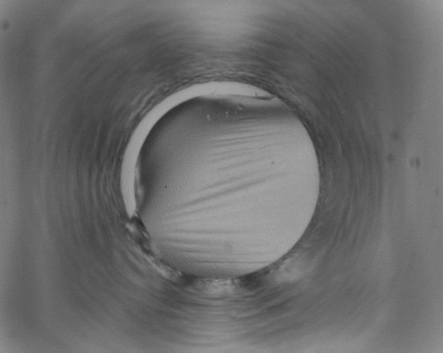 X0000067350384200604281448