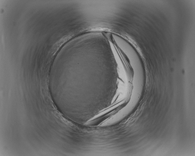 X0000067350385200604281447