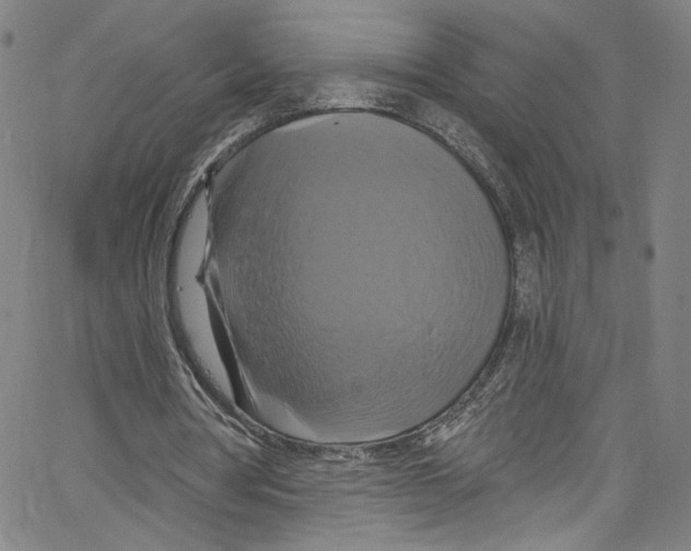 X0000067350386200604281447