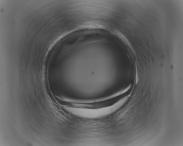 X0000067350387200604281447