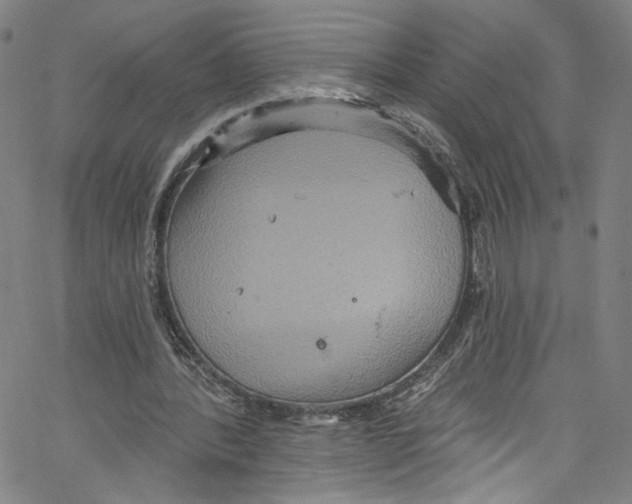 X0000067350388200604281447