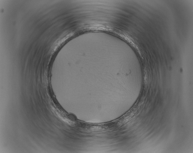 X0000067350390200604281447