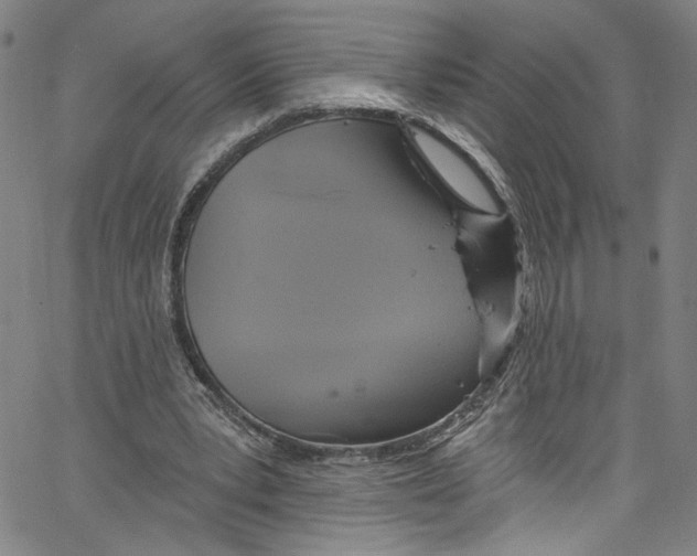 X0000067350391200604281447