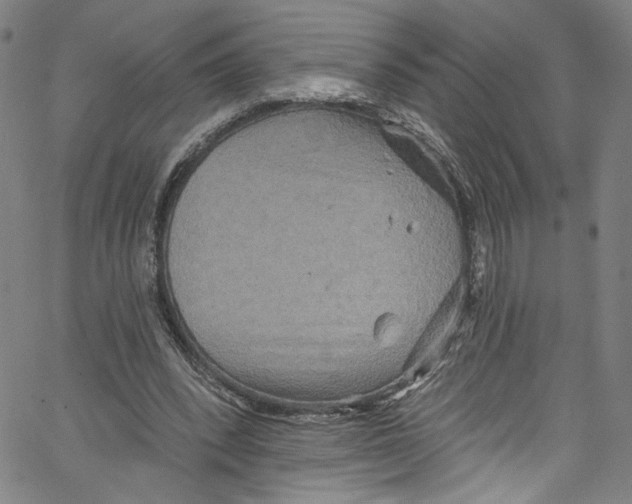 X0000067350392200604281447