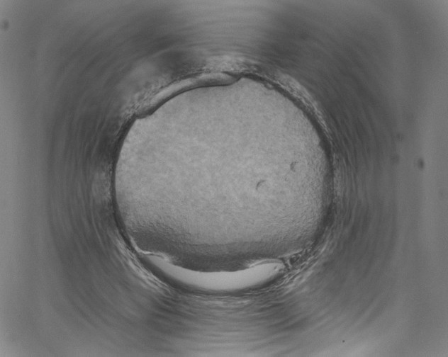 X0000067350393200604281447