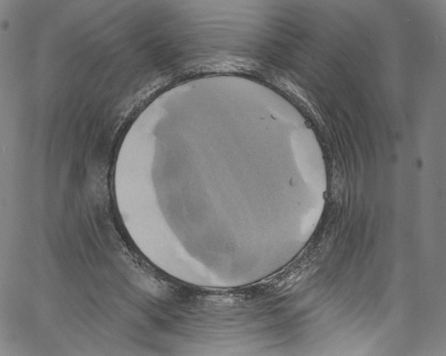 X0000067350394200604281447