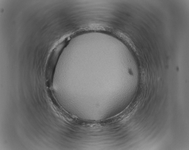 X0000067350395200604281447