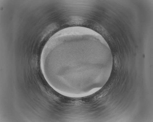 X0000067350396200604281447