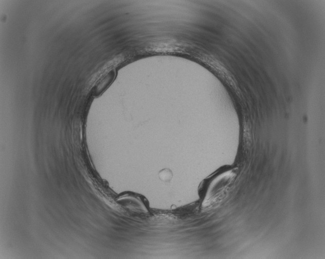 X0000067350397200604281447