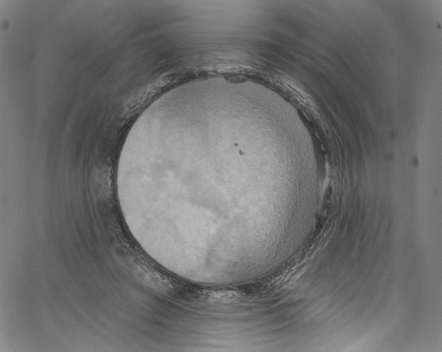 X0000067350401200604281447