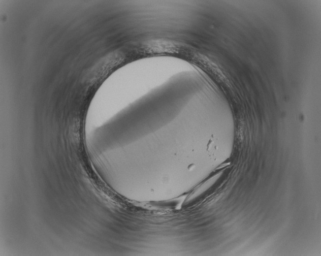 X0000067350402200604281447