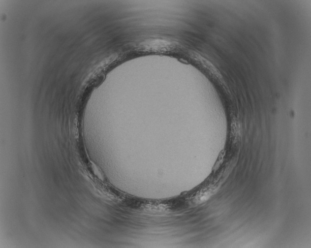 X0000067350403200604281447