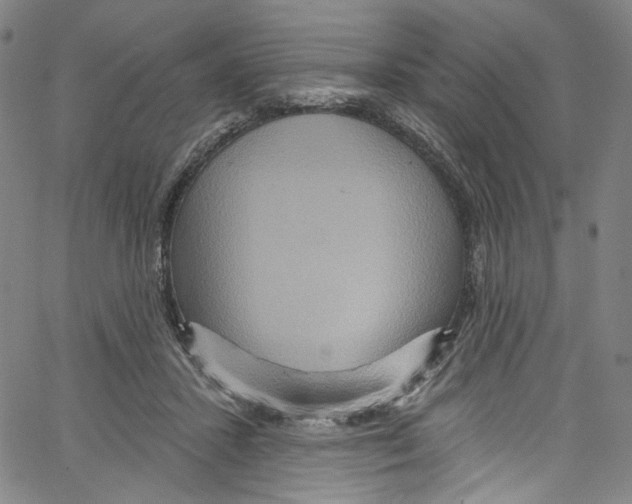 X0000067350407200604281447