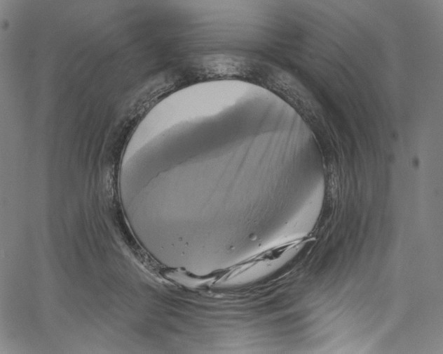 X0000067350410200604281447