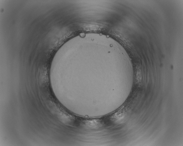 X0000067350411200604281447