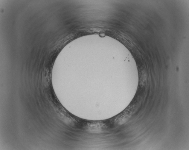 X0000067350414200604281447