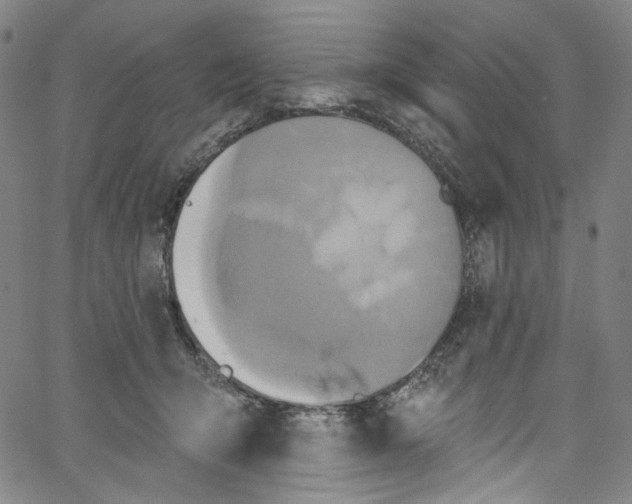 X0000067350415200604281447