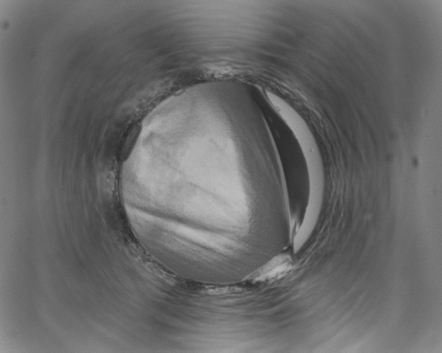 X0000067350417200604281447