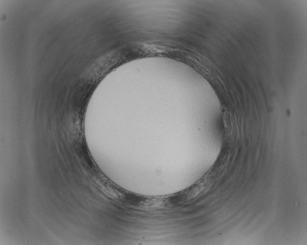 X0000067350418200604281447