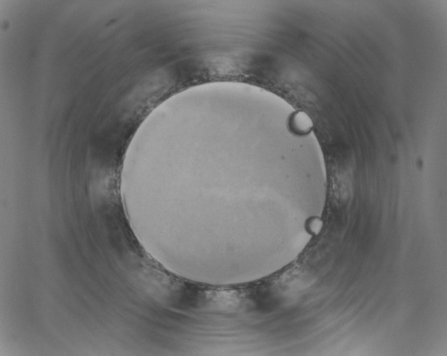 X0000067350419200604281447